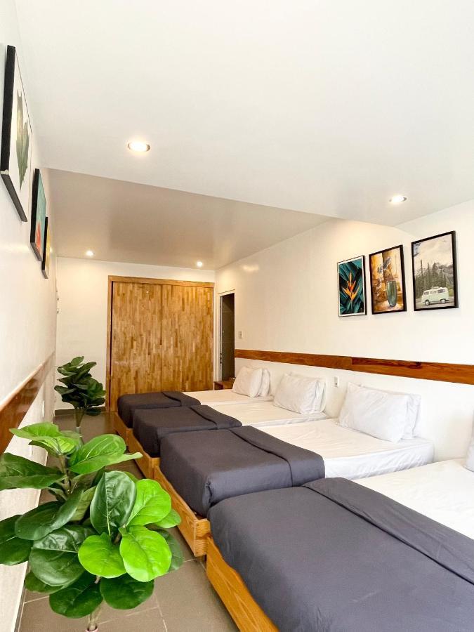 Dalat Topview Homestay المظهر الخارجي الصورة